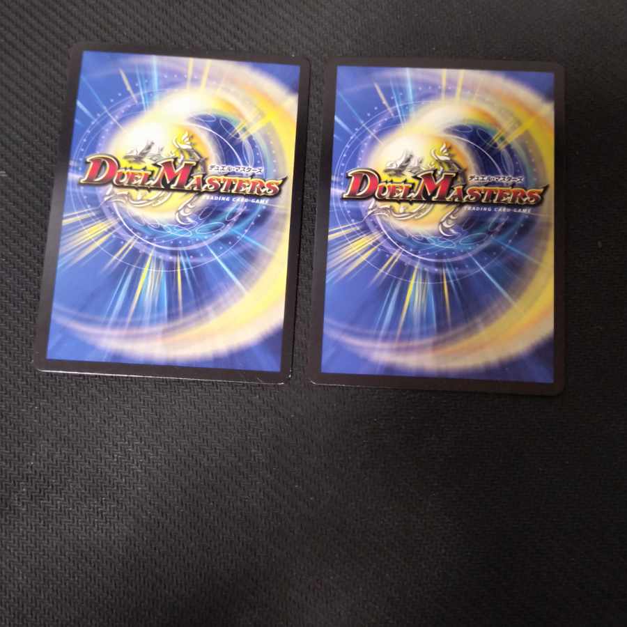 サッヴァークDG　シク 2枚