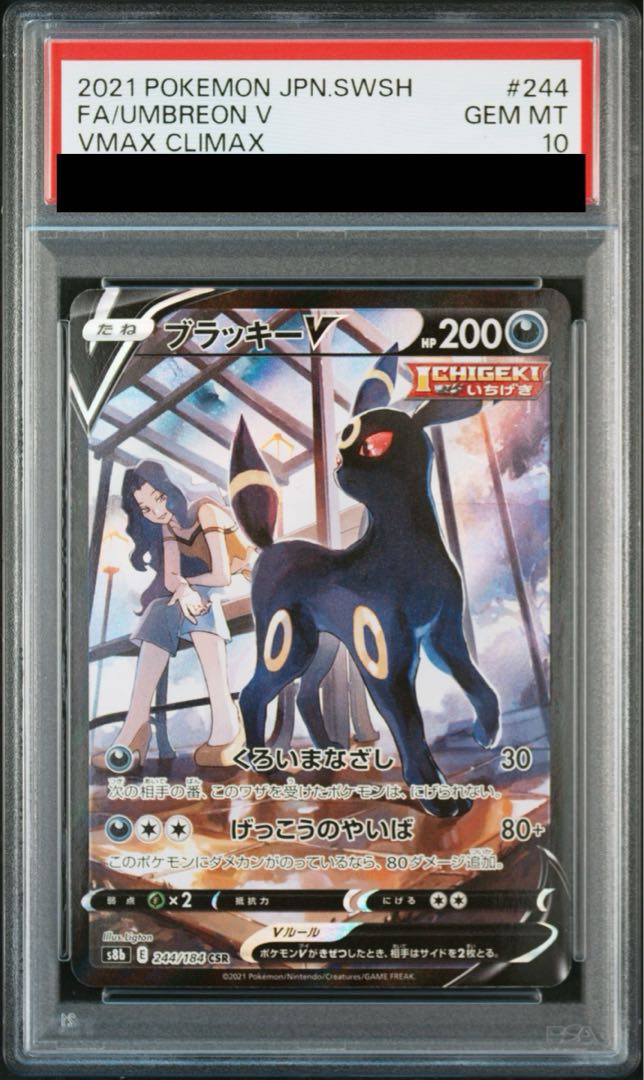 PSA10】ブラッキーV CSR 244/184の通販 土日祝休@magi公式 PSA10】ブラッキーV CSR 244/184の通販 土日祝休@magi公式