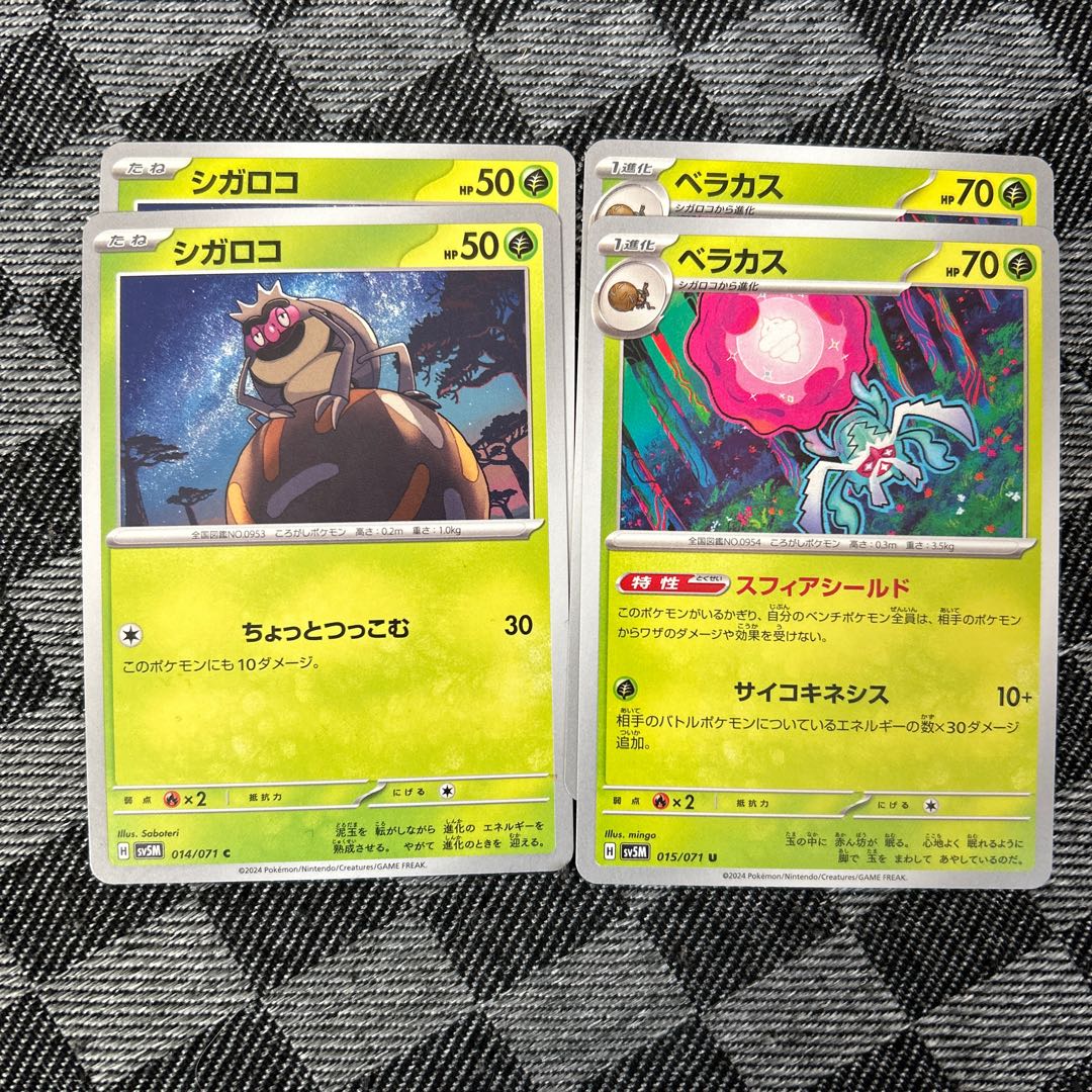 Sigaloco Veracus Evolution line