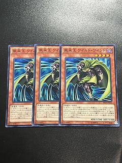 Yu-Gi-Oh Studio 3 copies Wandering King Wildwind Normal JP013