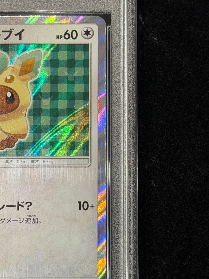 【PSA10】ポンチョを着たイーブイ PROMO 142/SM-P 1枚