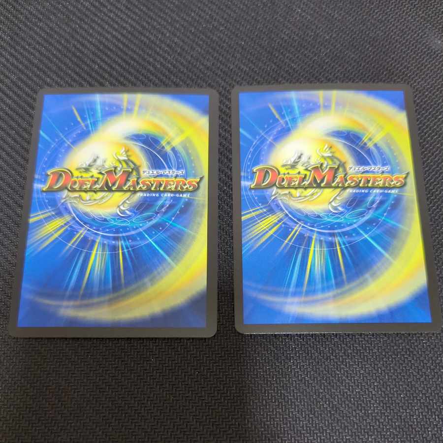 ～And to Invigoration...~ SR S6/S11