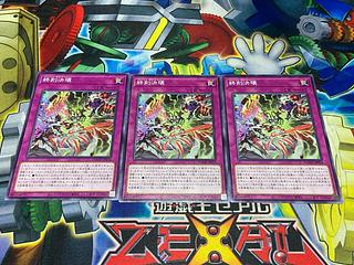 Y-3378 End of Time Decay Normal DOOD-JP074