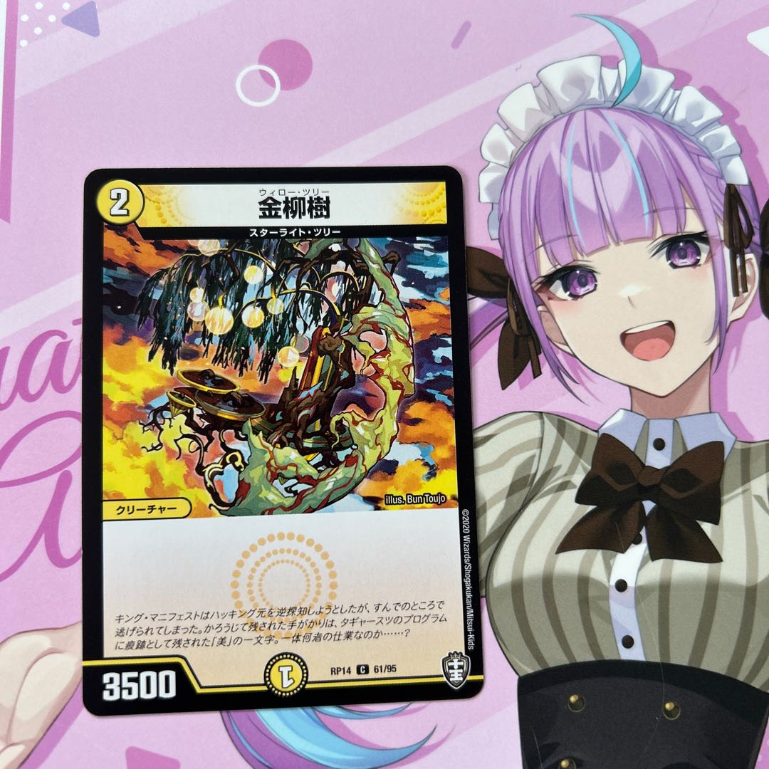 Kim Yong Joo C 61/95