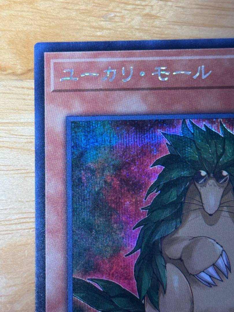 ユーカリ•モール　シークレットレア