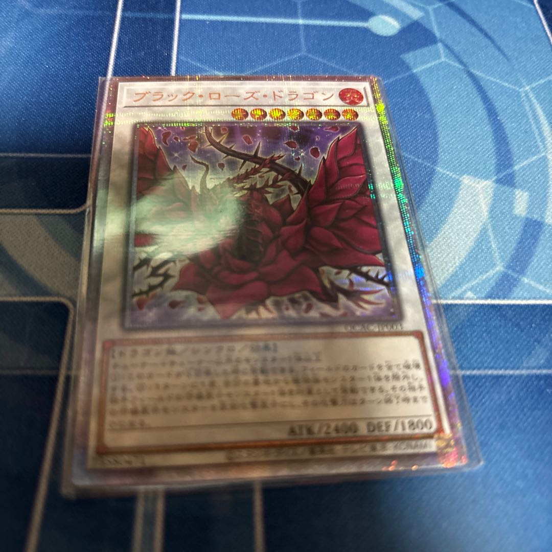 Black Rose Dragon 25th