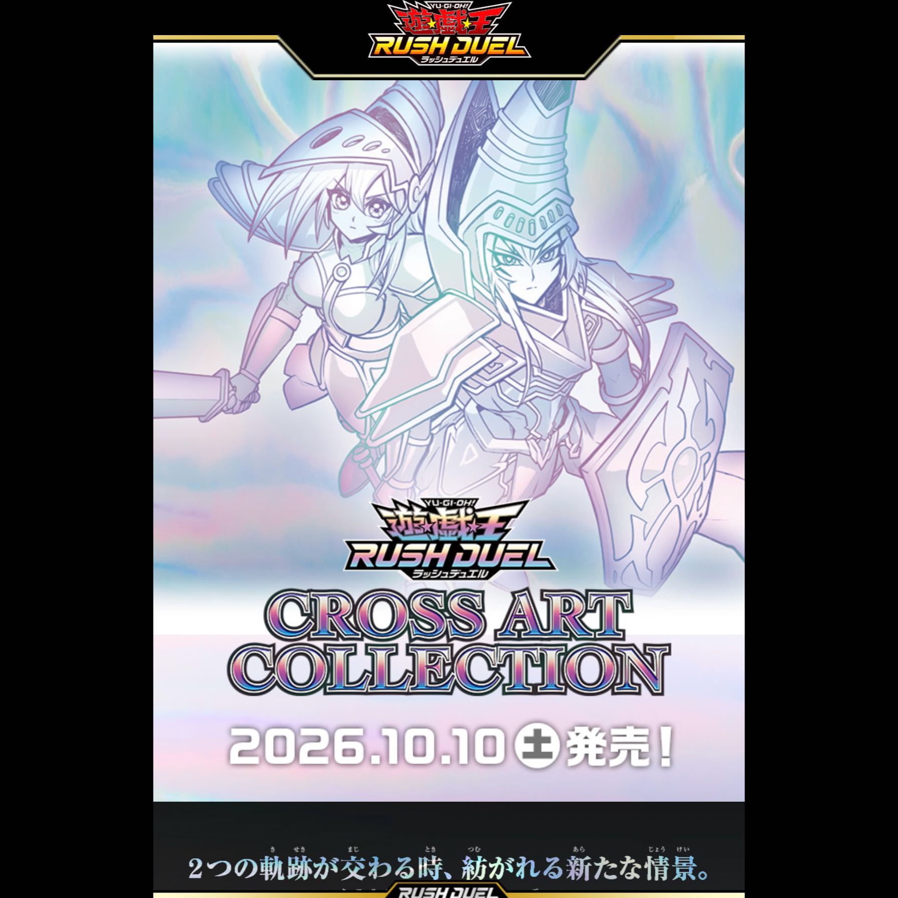CROSS ART COLTECTION 1カートン 1枚