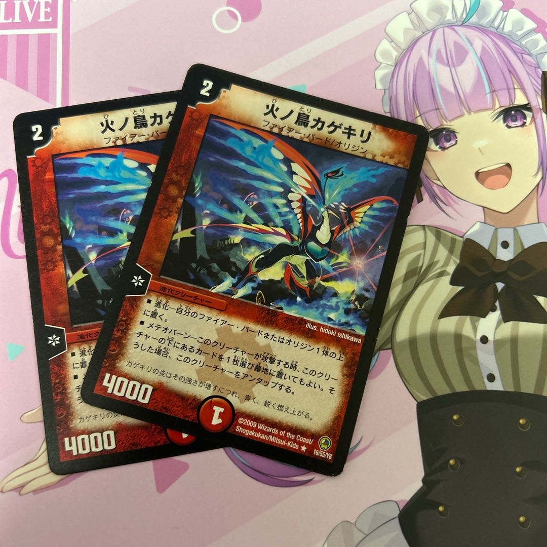 Fire No Torikagekiri R 16/55/Y8