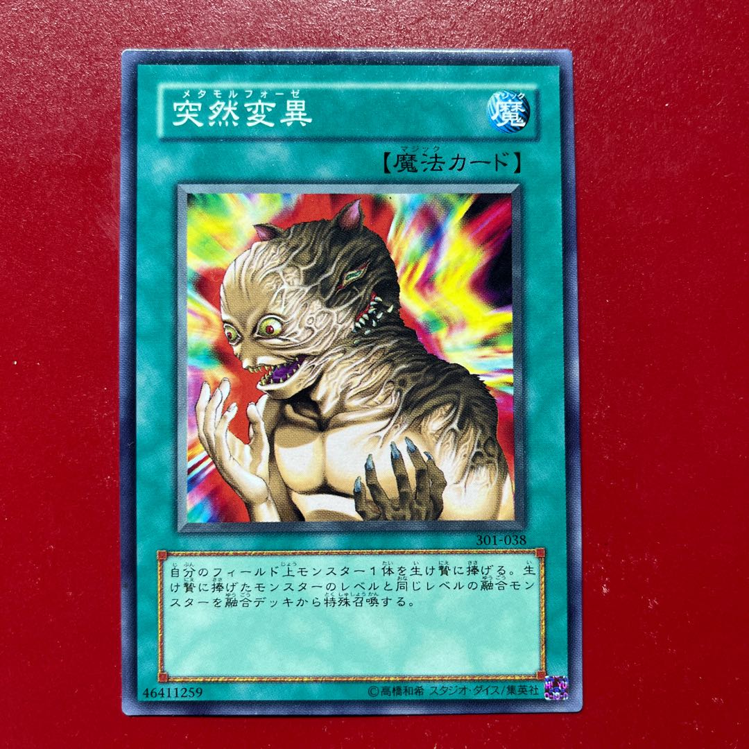 Akr 突然変異 ノーマル JP038