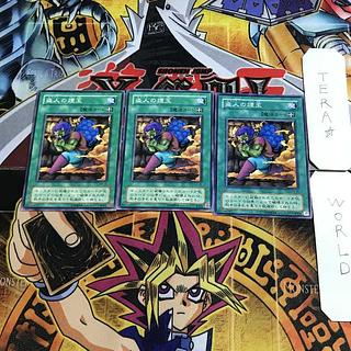 Smoke Grenade of the Thief MA 2nd period ver 1 normal, set of 3 Tera