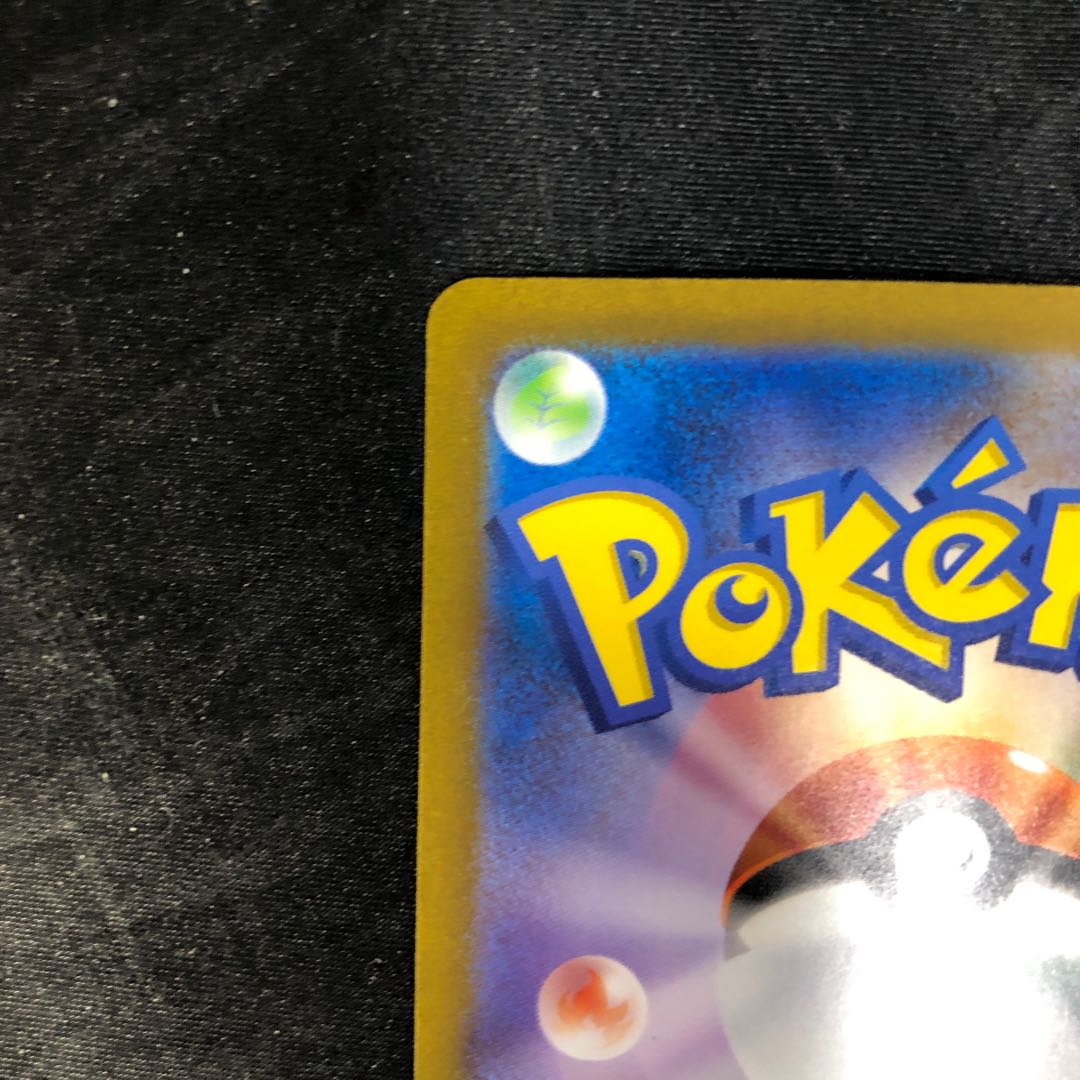 Pidgeotex RR 089/108