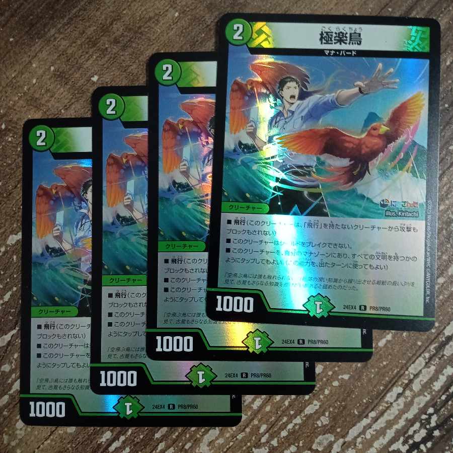 極楽鳥 R-foil PR8/PR60