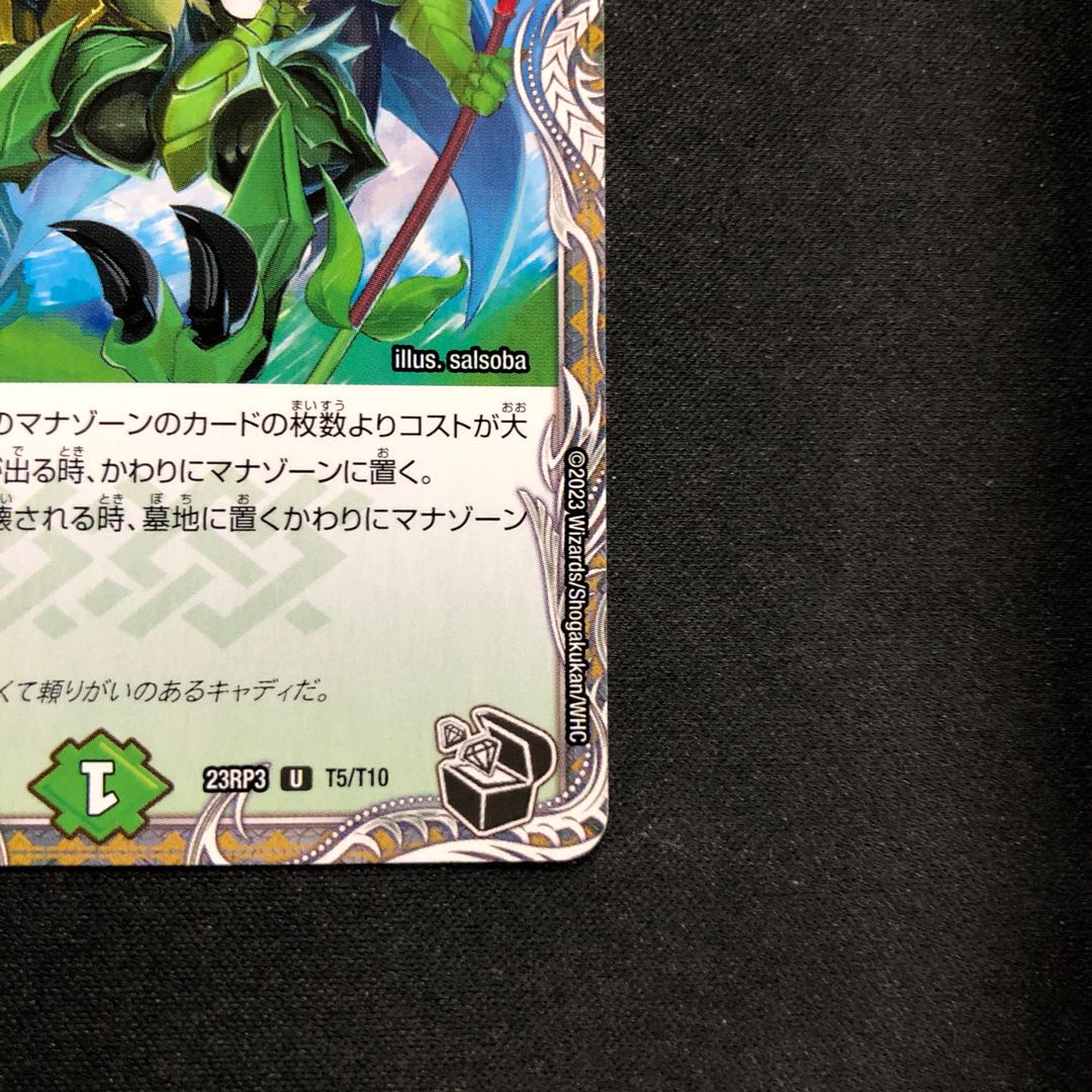 Cady Bedele (Black Treasure) U T5/T10