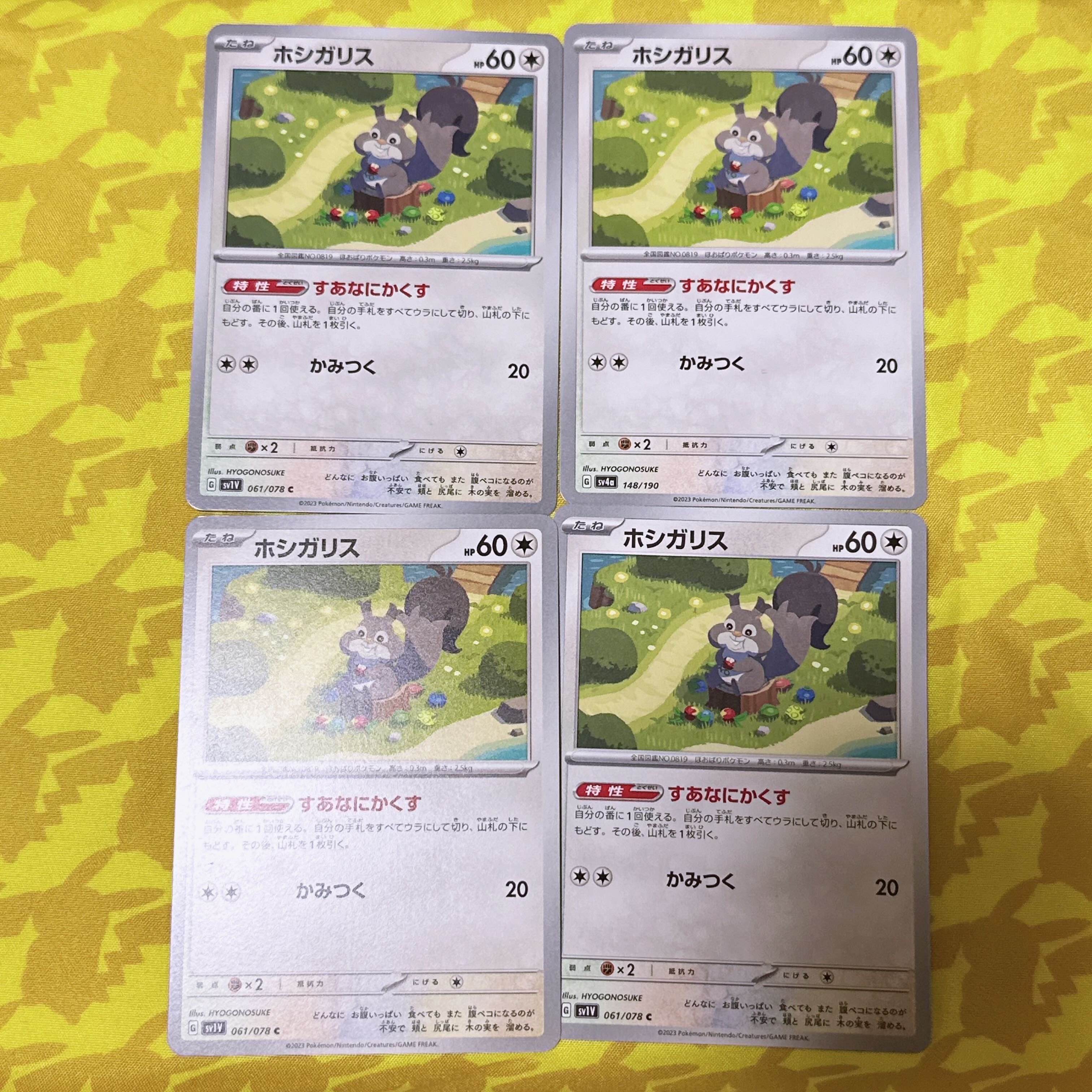 【00079】 ホシガリス C 061/078