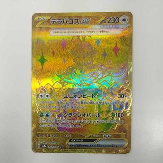 @ @ テラパゴスex UR 237/187 1枚