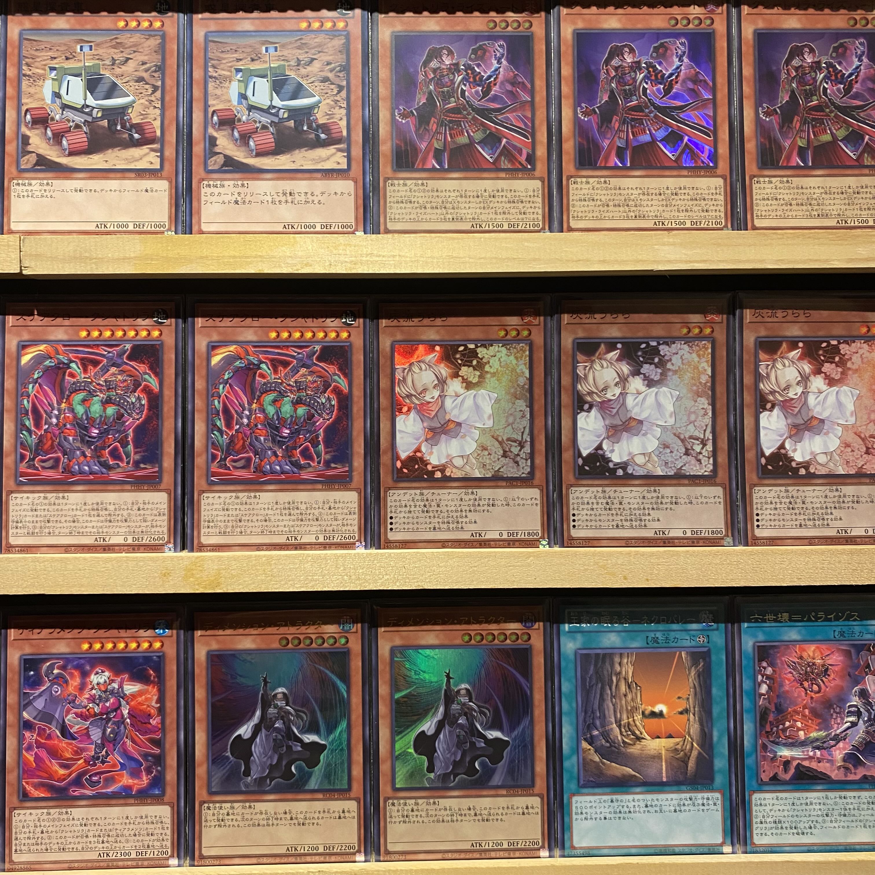 即日発送!大会用【クシャトリラ】デッキ 遊戯王 クシャトリラ 即日発送!大会用【クシャトリラ】デッキ 遊戯王 クシャトリラ