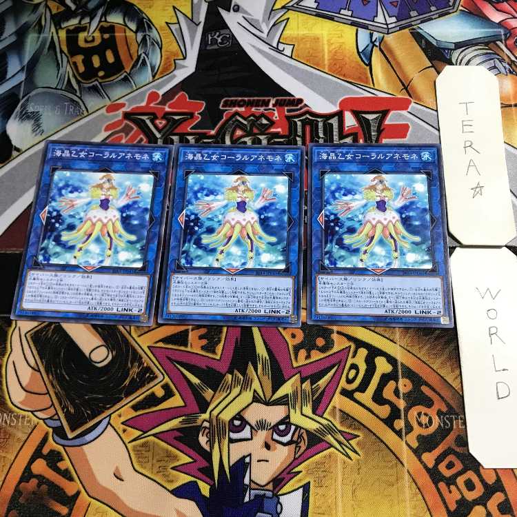 Marincess Coral Anemone 6 Normal, set of 3 Tera