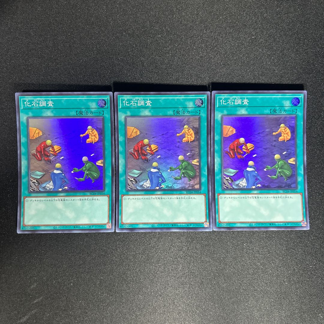 1010 Fossil Dig Super Rare JP054 1枚