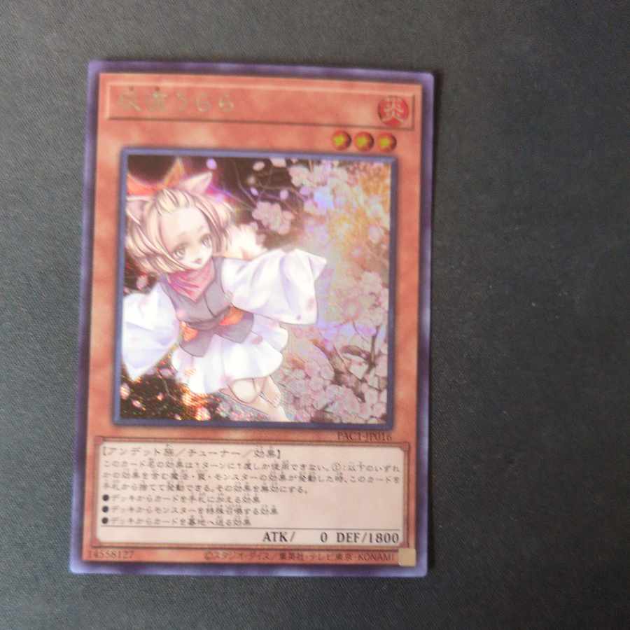 灰流うらら シークレット 灰流うらら【シークレット】{TTP1-JP078}《モンスター》