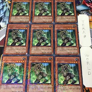 Elemental HERO Woodsman DT08 2 Duel Terminal, Effect, Set of 9, Tera. 9枚