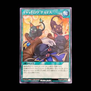 遊戯王ラッシュデュエル　キャットロワ チョイス　レア　 1枚