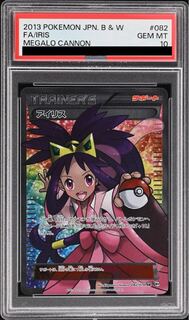 アイリスPSA10