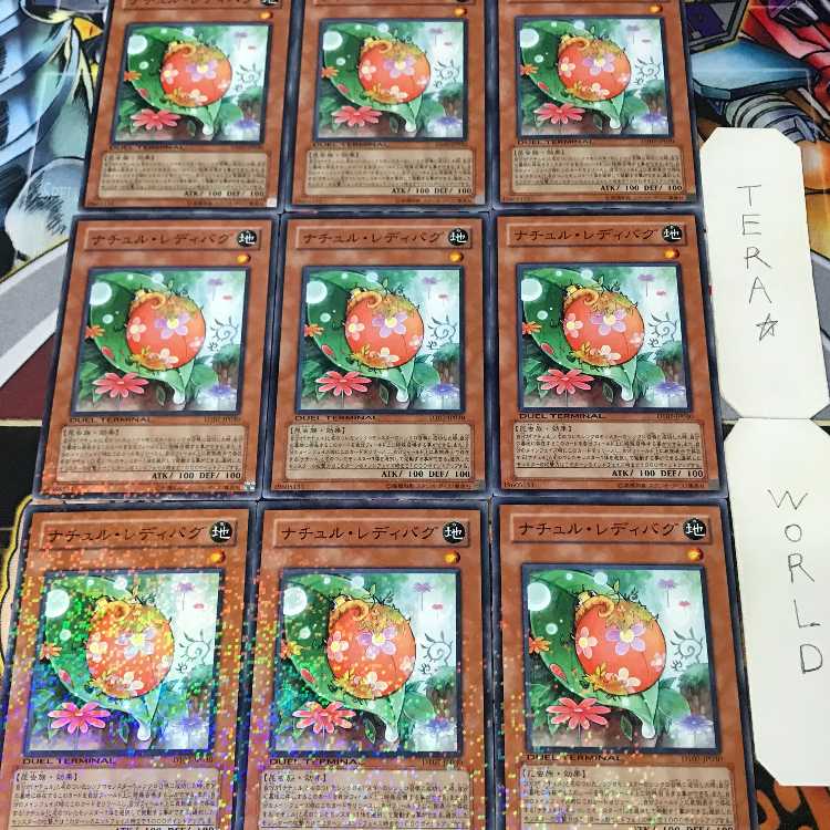 1 Duel Terminal, Effect, Set of 9, Tera. 9枚