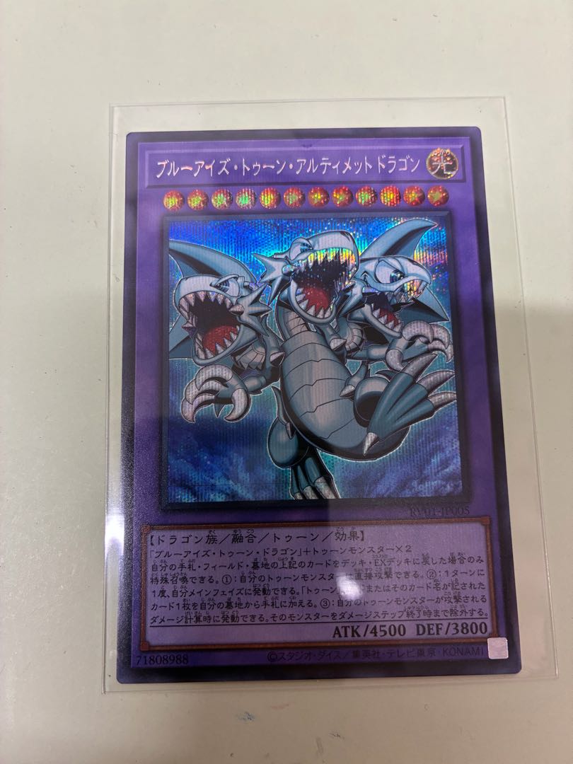 Snubbull Eyes Toon Ultimate Dragon Secret Rare RV01-JP005 1枚