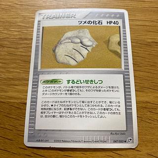 ツメの化石 2003 1枚