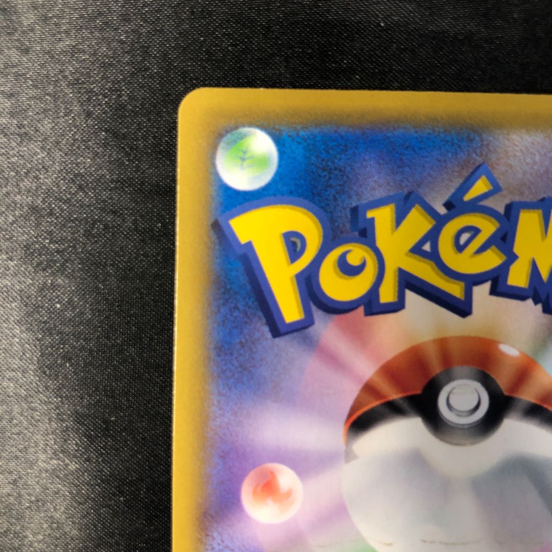 スイクン S 221/190 1枚