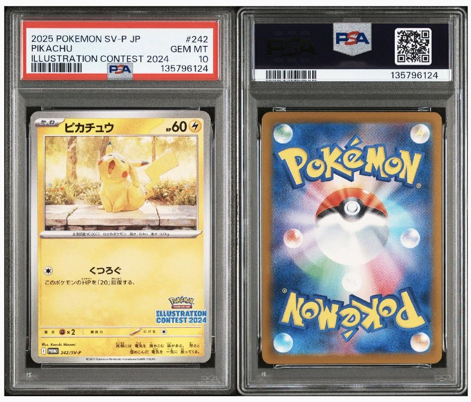 ピカチュウ [SV-P 242](プロモカードパック「イラストレーションコンテスト 2024 受賞作品プロモカード化記念キャンペーン」) 6枚