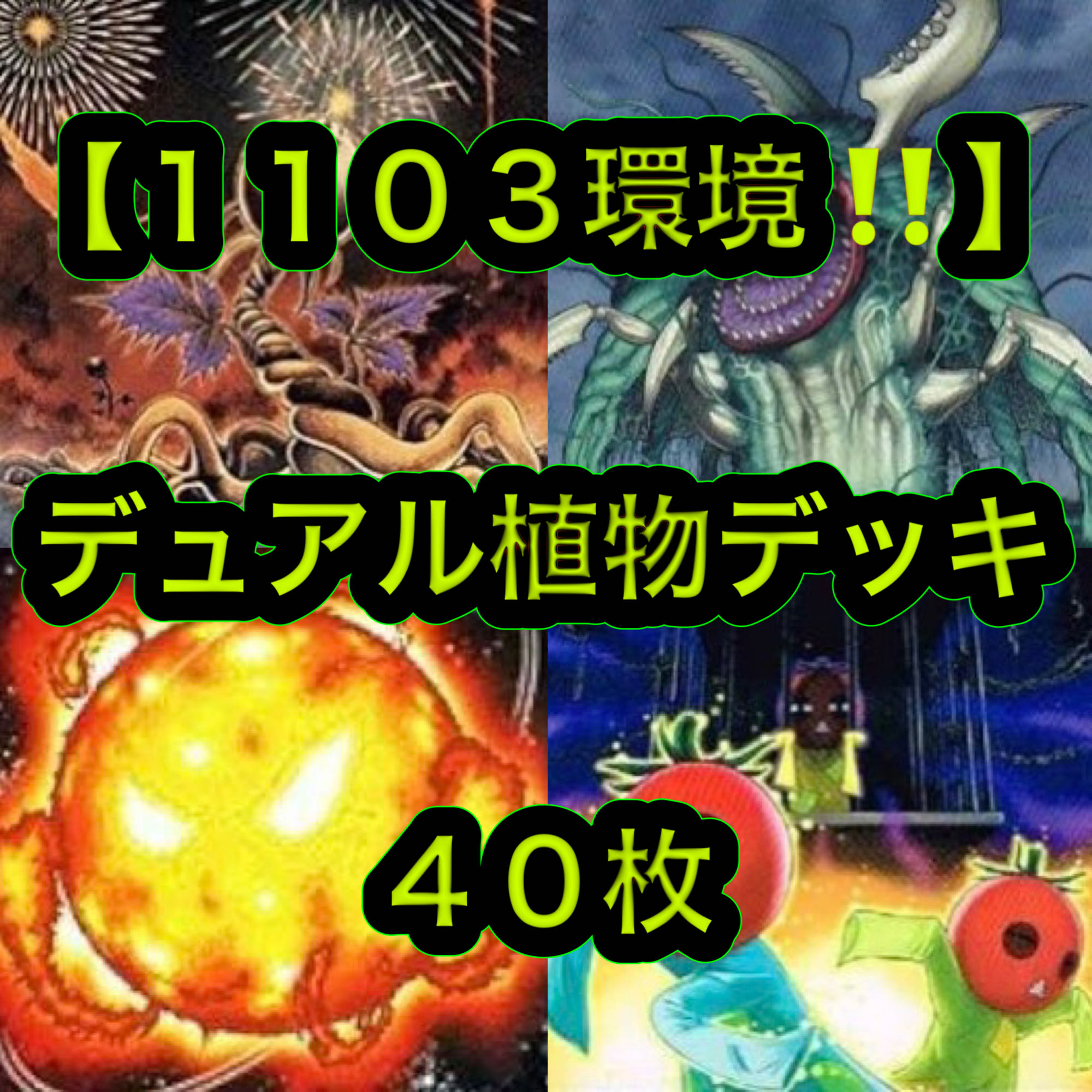 Yu-Gi-Oh [1103 Environment! 40 dual plant decks