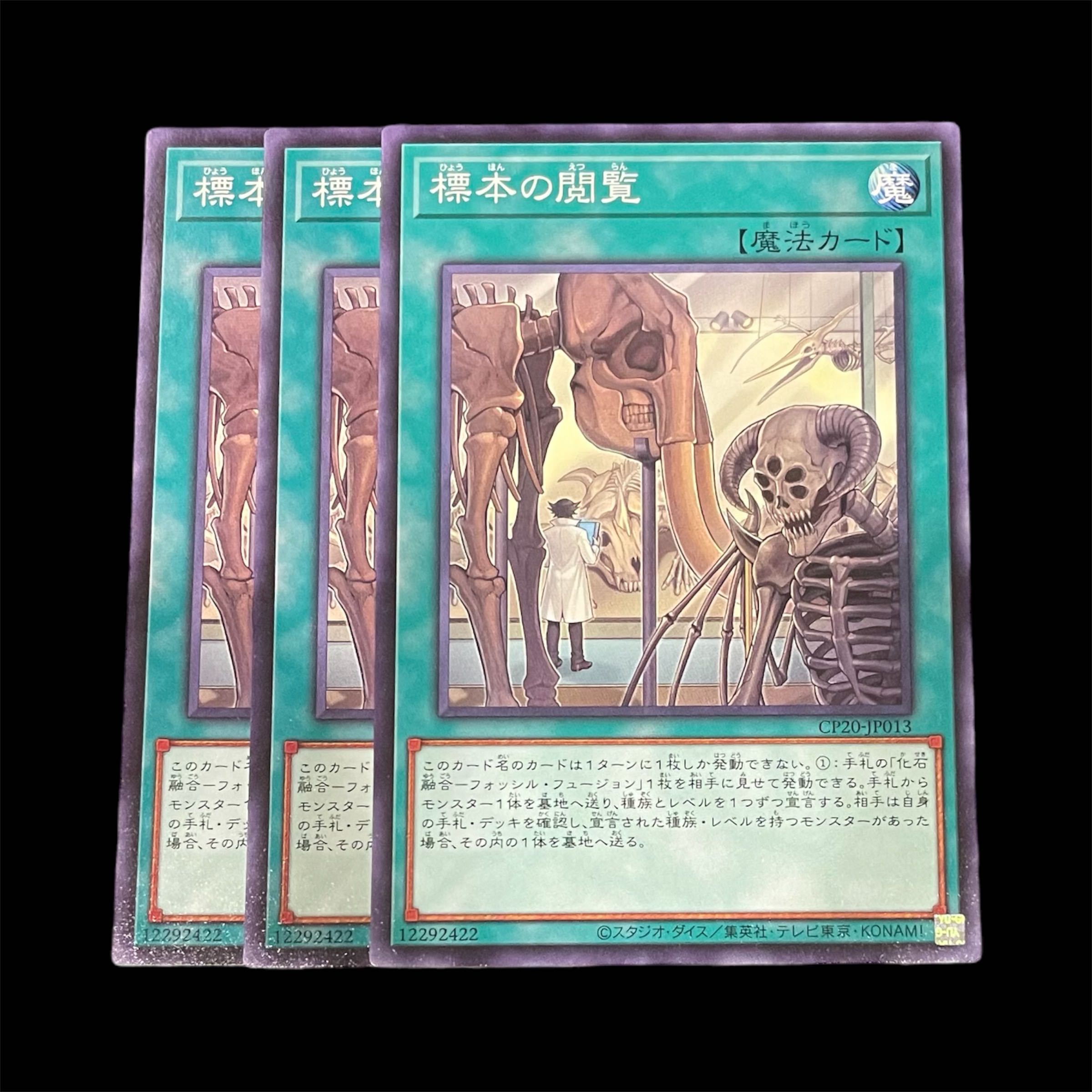 遊戯王 標本の閲覧 3枚(N)