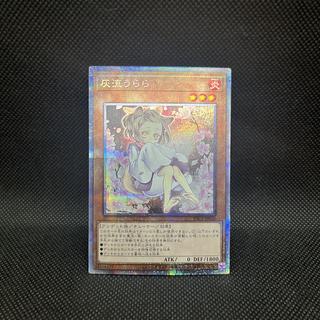 遊戯王　灰流うらら　新規イラスト　PAC1-JP016   プリズマティックシークレットレア 1枚