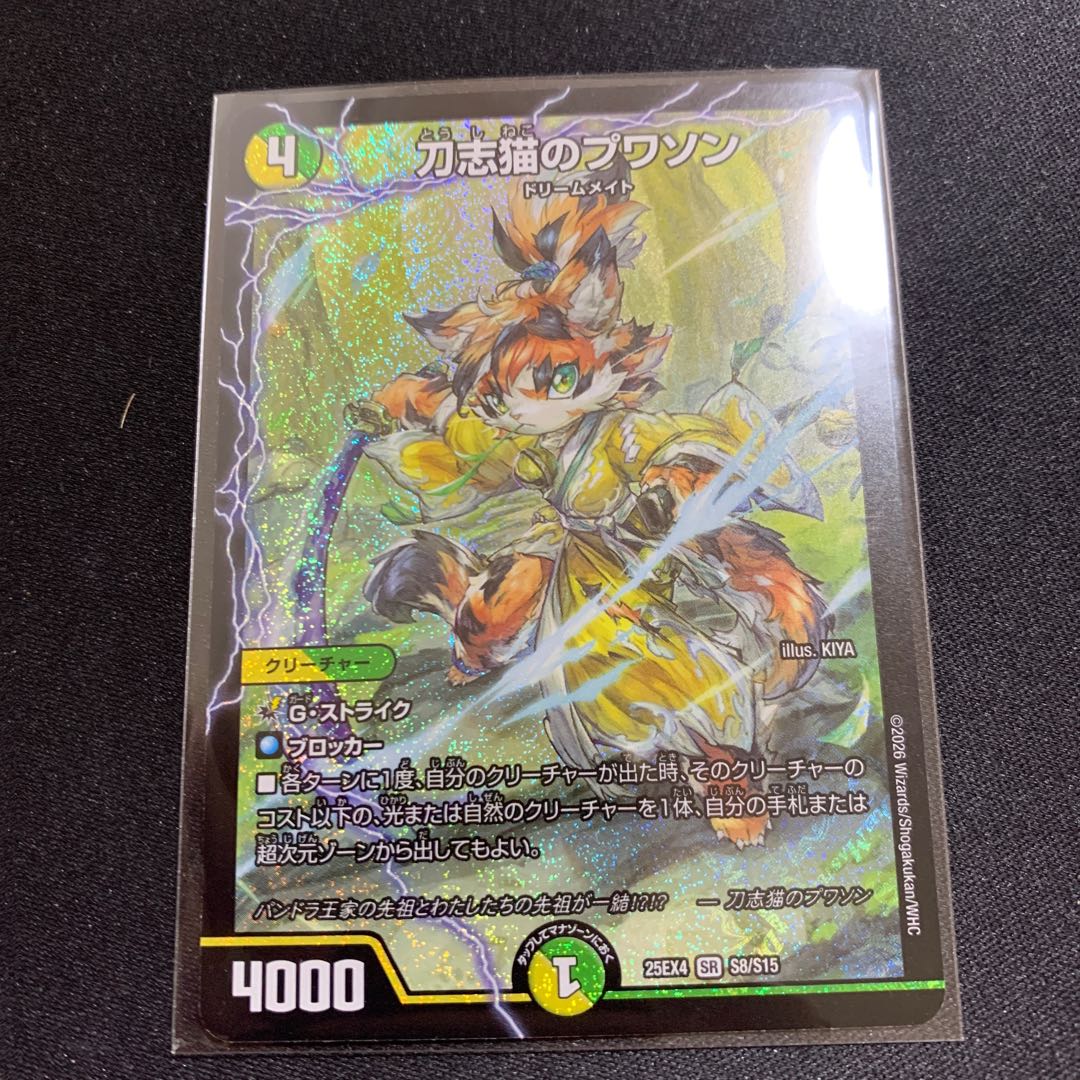 刀志猫のプワソン SR S8/S15 1枚