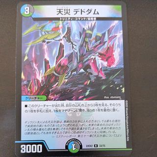天災 デドダム R 33/75 1枚