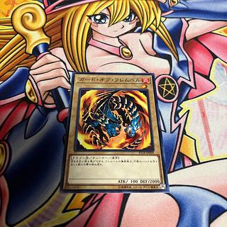 Flamvell Guard Normal JP009