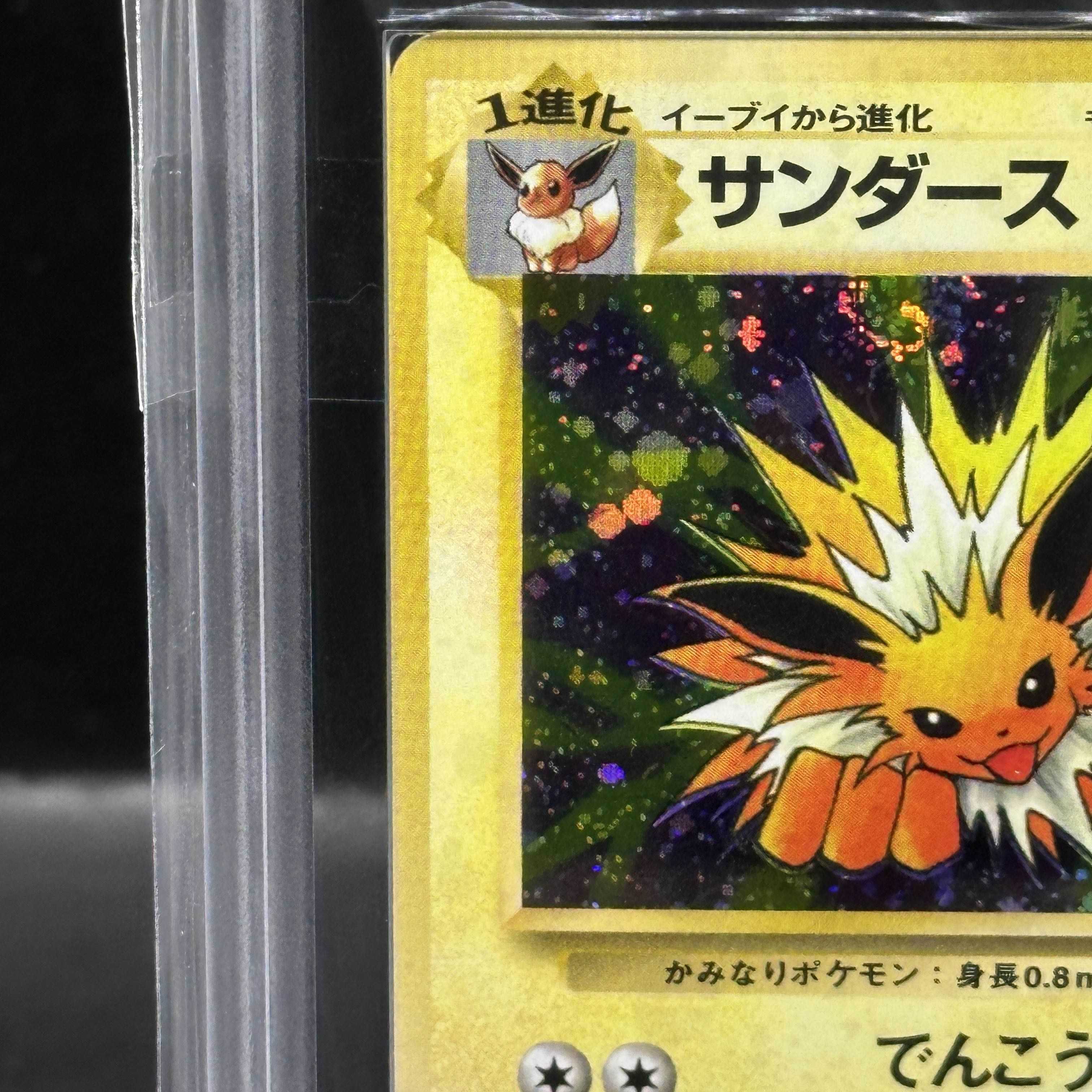 【ARS10】サンダース キラ 旧裏 ★