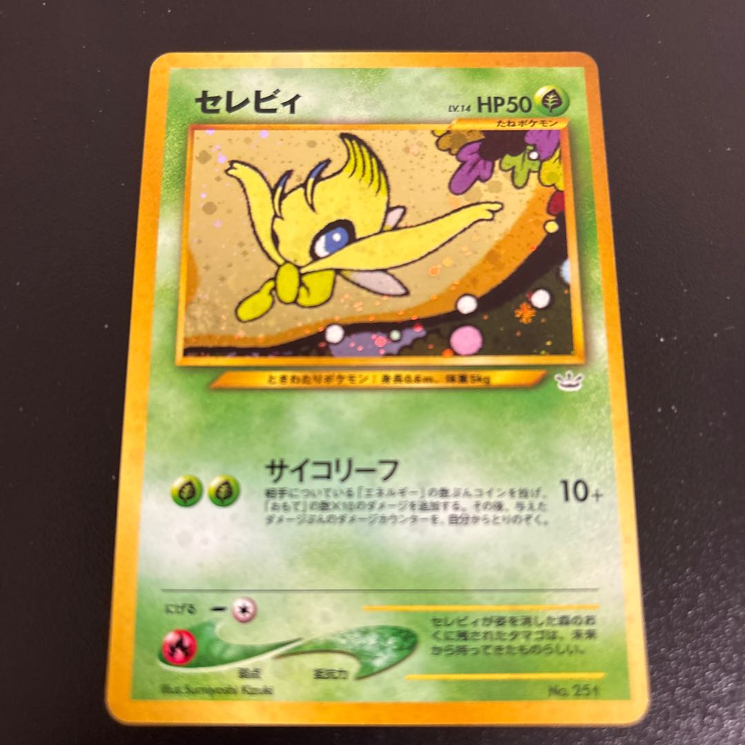 Celebi Premium File Old Back 1枚