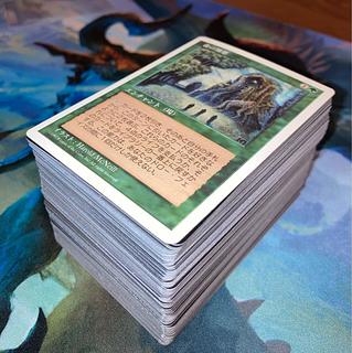 【★歳末増量キャンペーン中♪】森の知恵他レアカードまとめ売り