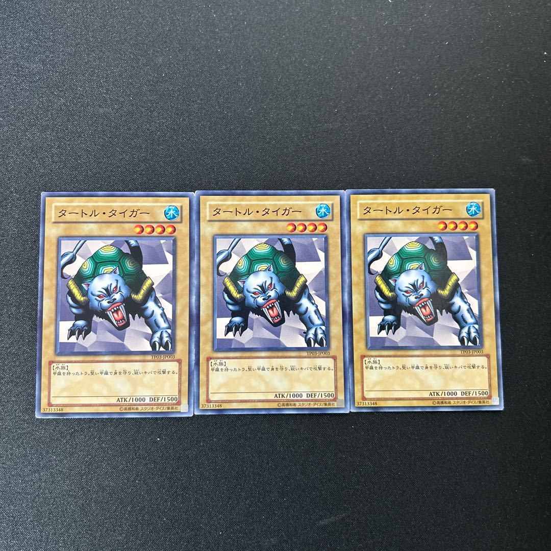 4464 Turtle Tiger☆5174