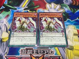 Y-1916 捕食植物トリアンティス ノーマル JP019