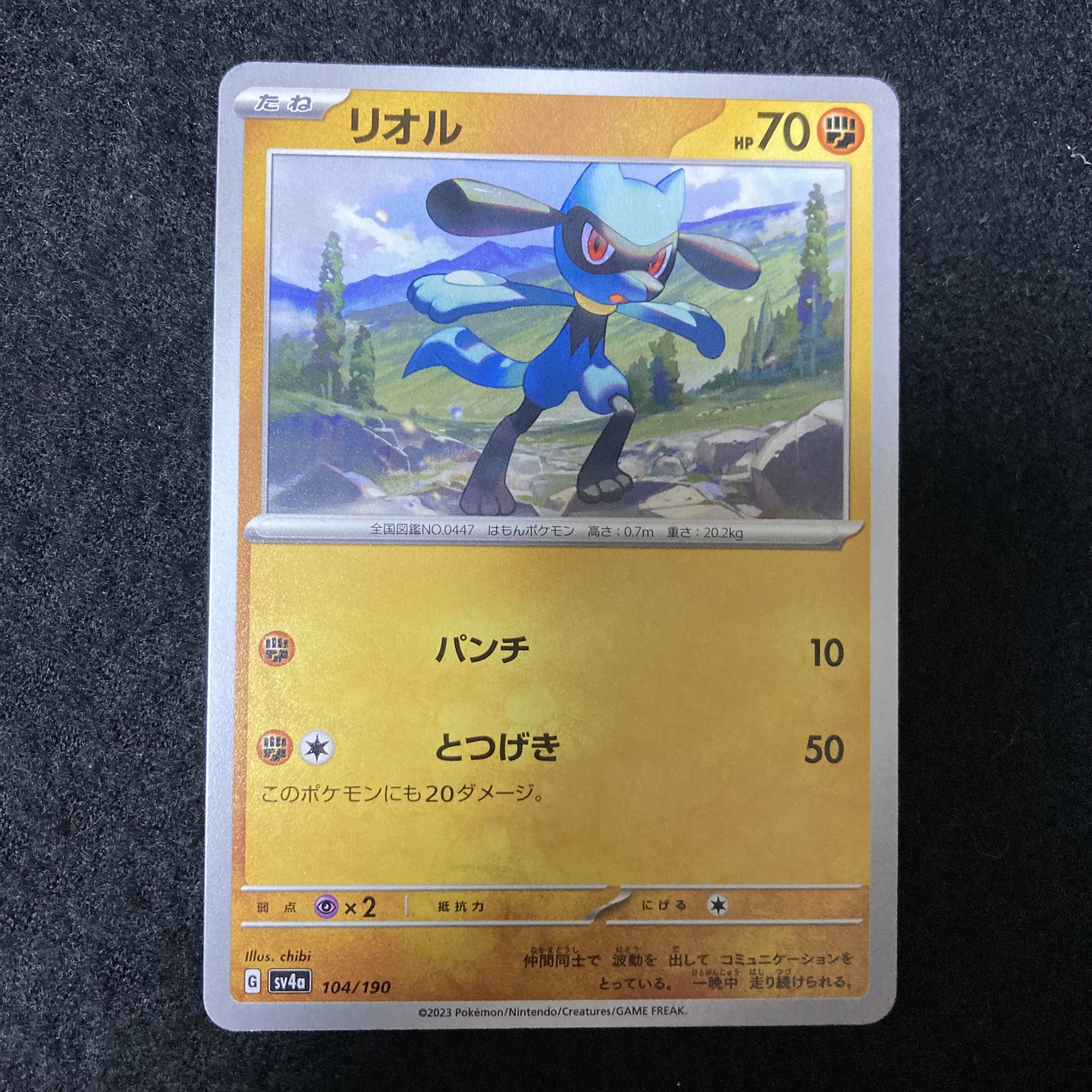 Riolu 104/190