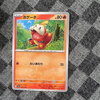 ホゲータ 030/190 1枚