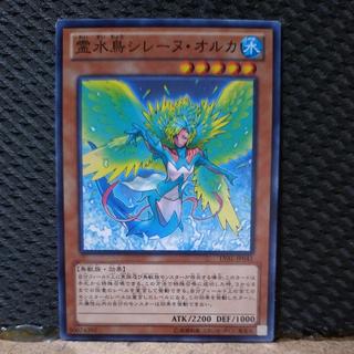 【ぽぽたん】遊戯王  7836  霊水鳥シレーヌ・オルカ   ノーマル 1枚