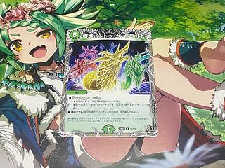 D-43 Explosion Into the Wild (Black Treasure) R T1/T10 1枚