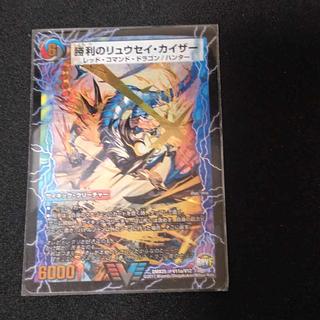 ryusei kaiser dmx of victory 1枚