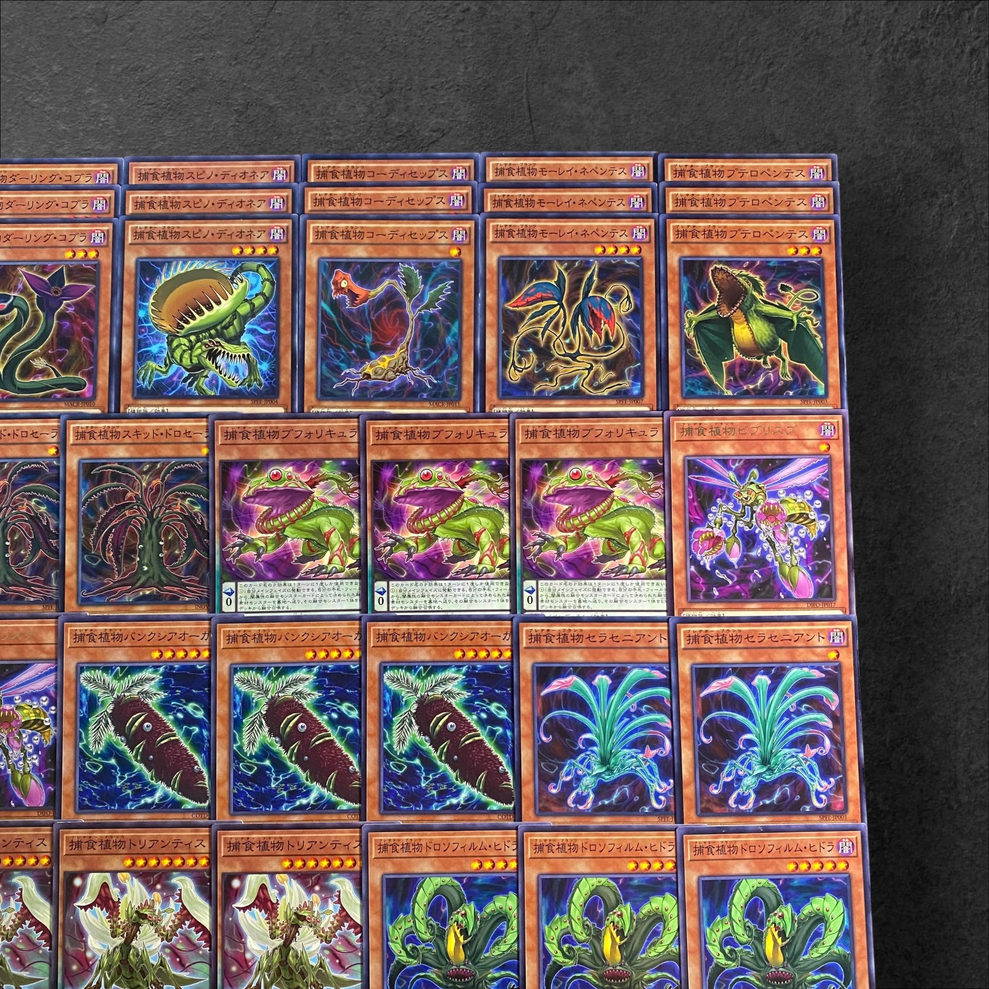 A319 [King of Games] Prey Upon Plant Deck Parts, set of 52