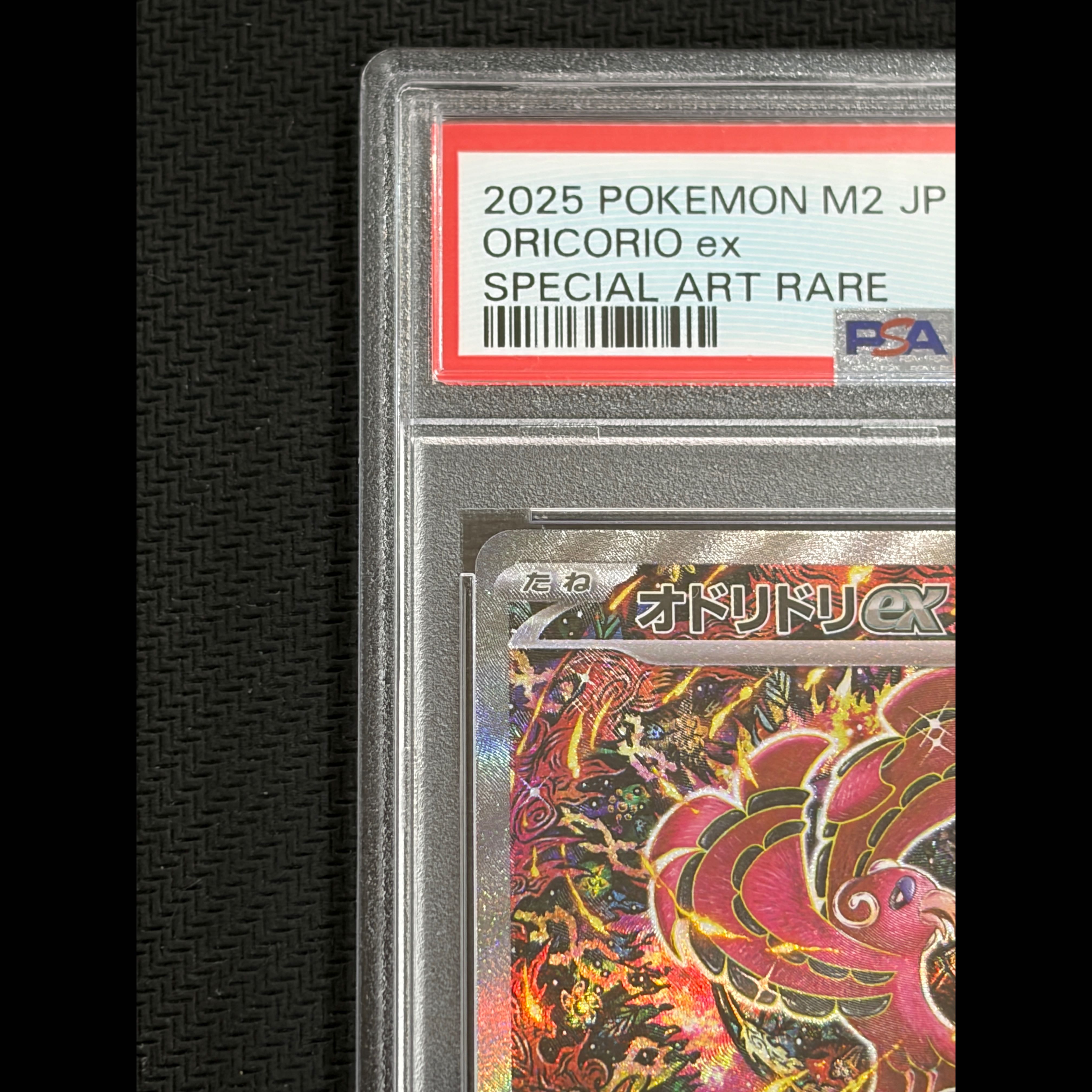 【PSA10】オドリドリex SAR 111/080 1枚