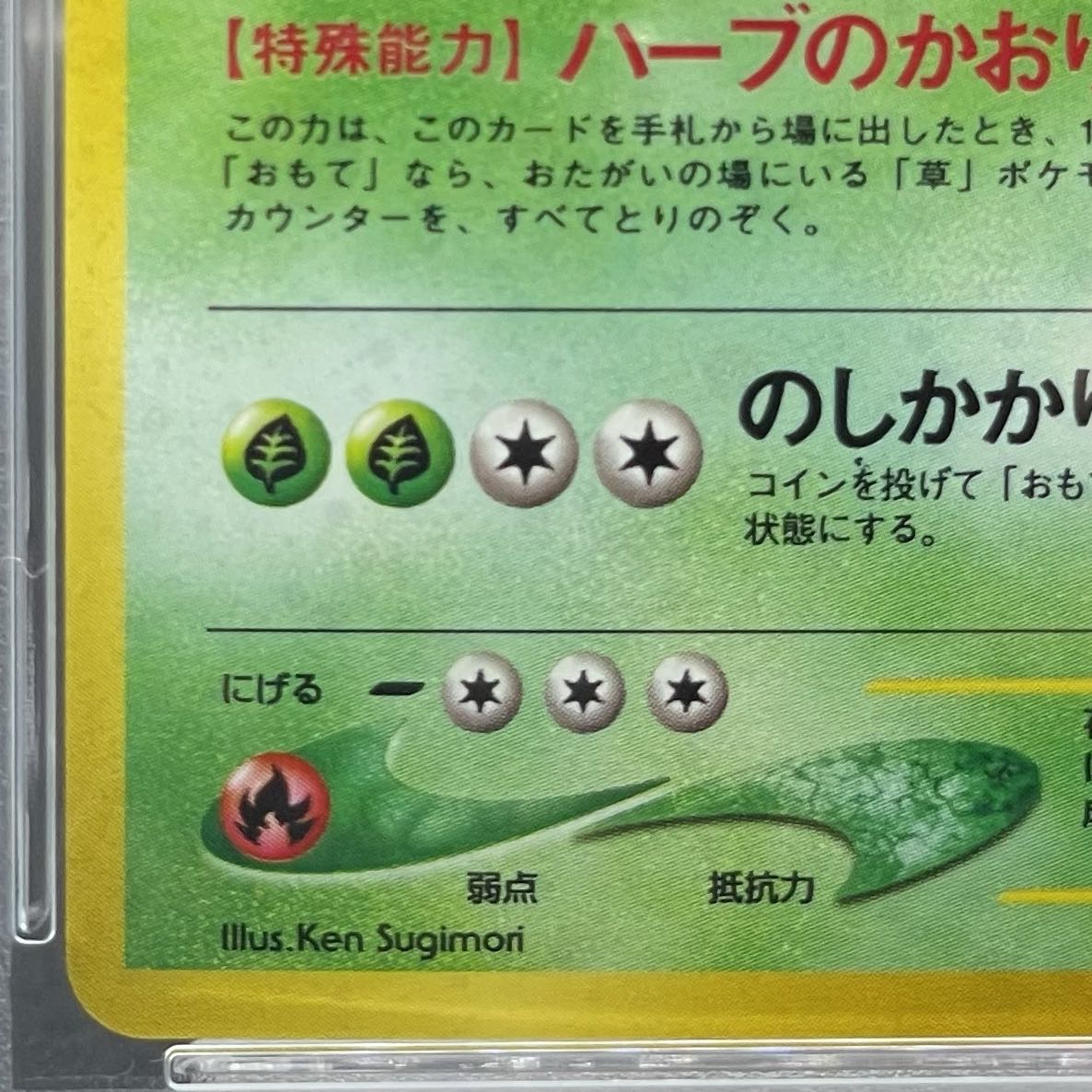 PSA10】メガニウム プレミアムファイル 旧裏の通販 土日祝休 PSA10】メガニウム プレミアムファイル 旧裏の通販 土日祝休